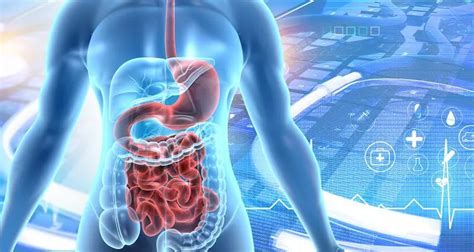 Gastrointestinal Pathogen Panel Applied BioCode