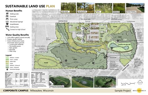 Sustainable Landscape Design Helianthus Environmentally Sustainable