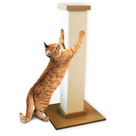 The Ultimate Scratching Post By Smartcat Pioneer Pet