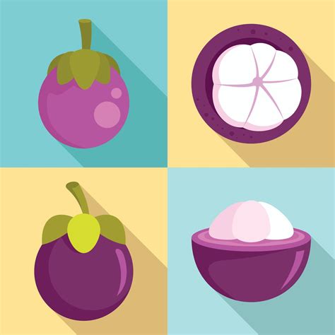 Mangosteen Icons Set Flat Style Vector Art At Vecteezy