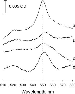 PA Induced Cyt C Release From Rat Liver Mitochondria Traces A And C