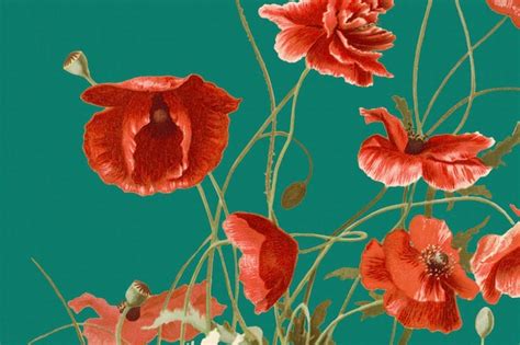 2,000+ Poppy Flower Background Pictures