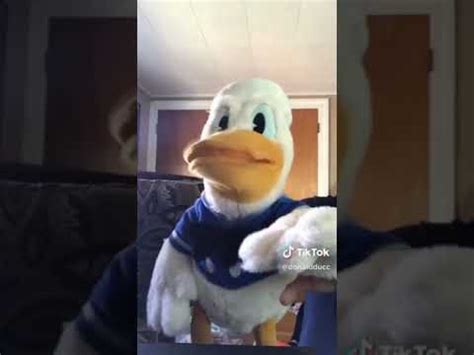 Donald Duck tik tok compilation - YouTube