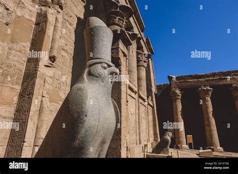 Un antiguo dios egipcio Horus Estatua como la Vista del pájaro halcón