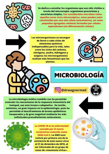 Microbiología Médica uDocz creators uDocz