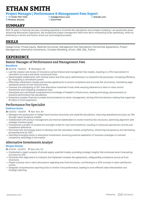 Private Equity Resume Examples Guide For