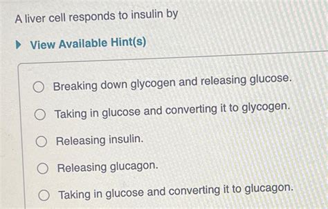 Solved A liver cell responds to insulin byView Available | Chegg.com