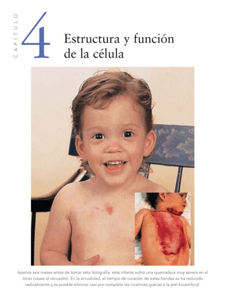 Estructura y función de la célula