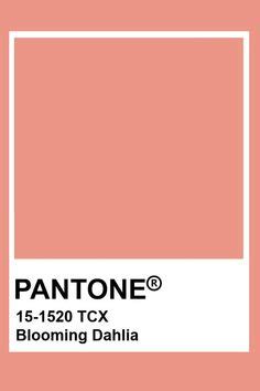 PANTONE için 900 fikir 2024 renkler pantone renk paletleri