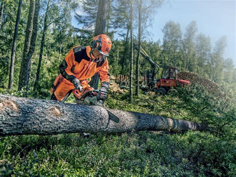 History Of The Chainsaw Celebrating Years