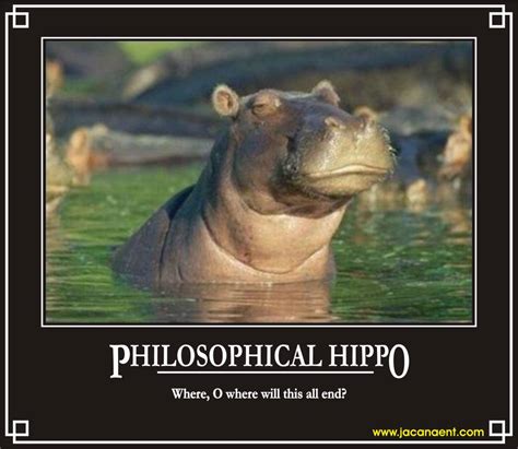 Funny Hippo Quotes Quotesgram