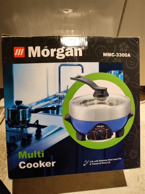 Morgan 3 0 Litre Multi Cooker Steamboat Stir Fry Deep Fry Furniture