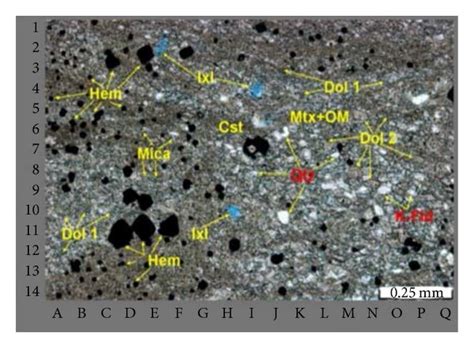 Thin Section Photomicrographs Of Lithofacies 1 A X50ppl 1st Dol 1