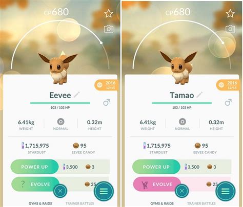 Como Evoluir Eevee Para Umbreon Em Pok Mon Go