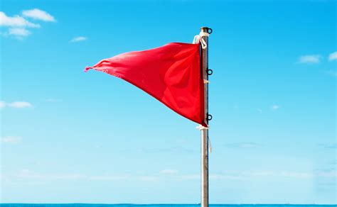Red Flag Meme Explained Inside Social Medias Newest Trend My