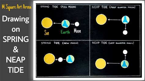 SPRING NEAP TIDE Drawing Drawing Of School Projects Easy Way To