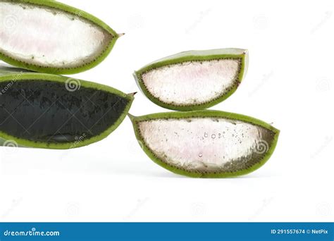 Aloe Vera Leaf Slices Showing The Inside Gel Stock Photo Image Of