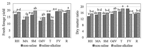 Fresh Forage Yield T Ha −1 And Dry Matter Ratio Of Quinoa Cultivars