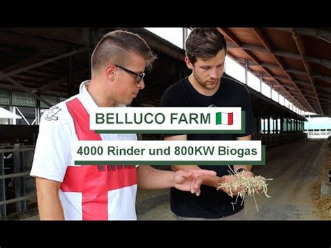 Intensive Landwirtschaft In Der Po Ebene Bellucofarm YouTube