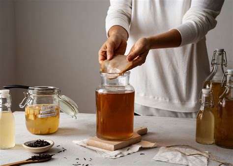 Recetas Con Kombucha ChampyAcademy