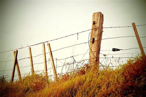 Royalty-Free photo: Brown wooden barbed wire fence on brown grassland during daytime | PickPik