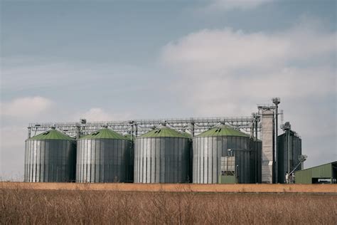 Silos con grano en el campo silos agrícolas para almacenamiento y