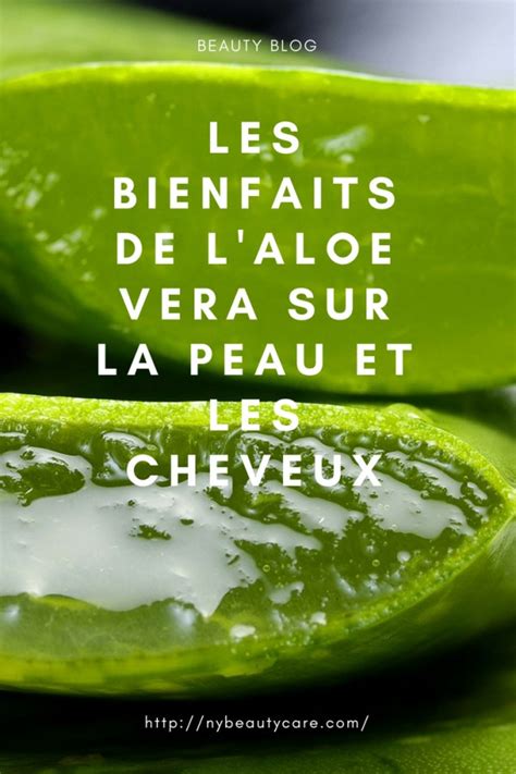 Les Bienfaits De Laloe Vera Sur La Peau Et Les Cheveux Nybeauty And Care