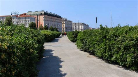 Trieste Presto Al Via Il Cantiere Per La Nuova Pista Ciclabile Delle Rive