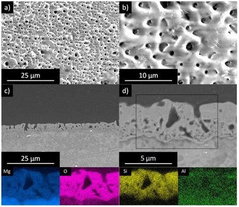 Coatings Free Full Text Functionalization Of Plasma Electrolytic