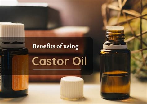 Castor Oil Benefit Health And Beauty Articles Oils Food Essen