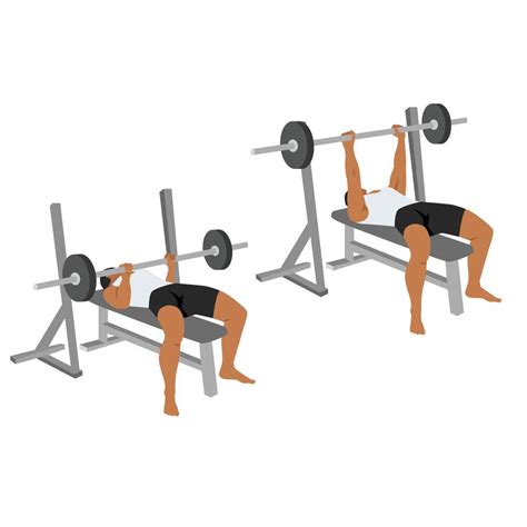 Man Doing Close Grip Bench Press Exercise Flat Vector Illustration