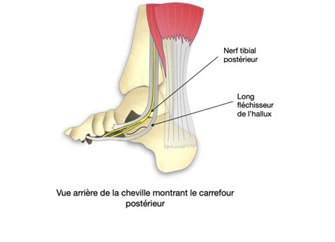 Syndrome du carrefour postérieur Dr Bovier Lapierre