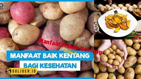 Temukan Manfaat Makan Kentang Yang Jarang Diketahui Solider