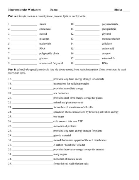 Macromolecules Worksheet 2