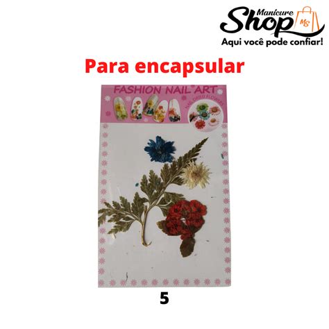 Decora O Cartela Flor Seca Para Encapsular N Manicure Shop