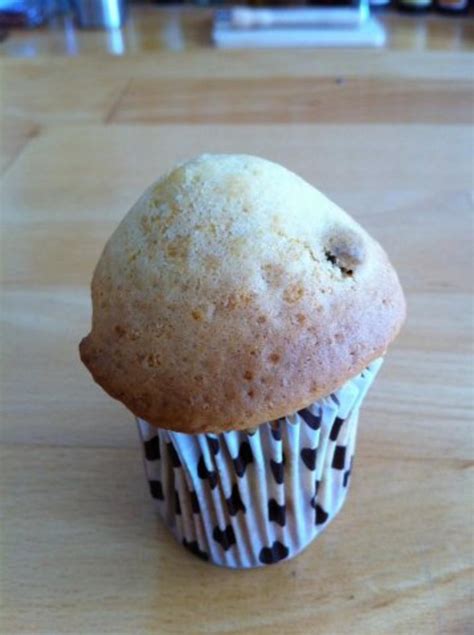 Cranberry Muffins Rezept Mit Bild Kochbar De