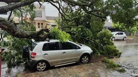 Temporal Derruba Rvores E Causa Estragos Em Campo Mour O T Sabendo