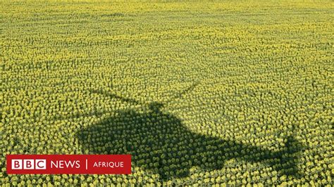 Guerre Ukraine Russie Comment Moscou Utilise Les Réseaux Sociaux Pour Voler Les Tournesols