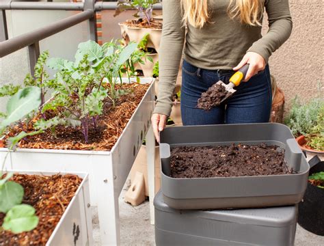 Compost vs Manure: The Best For Your Soil Health