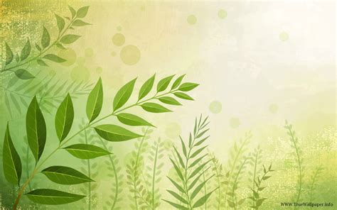 Nature Vector Wallpapers - Wallpaper Cave