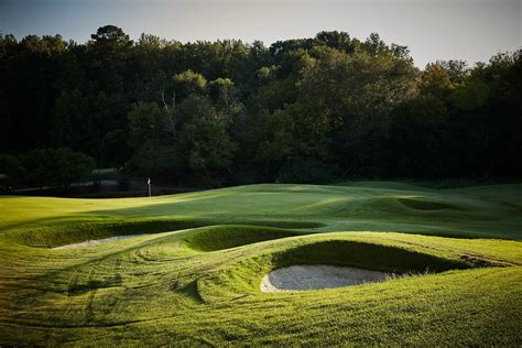 Atlanta National Golf Club Milton Ga Screech Owl Journal Gallery Of Photos