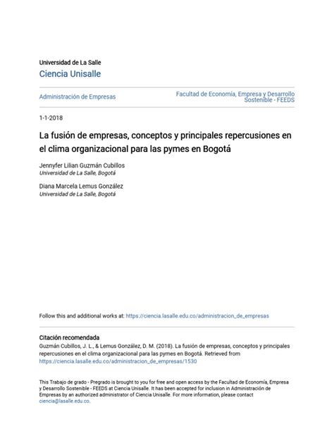 La Fusión De Empresas Conceptos Y Principales Repercusiones En E Pdf Business Capital