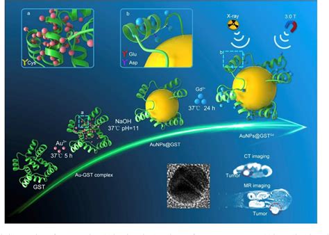 Figure 1 From Recent Advances Of Biomimetic Nano Systems In The Diagnosis And Treatment Of Tumor