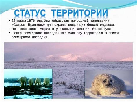 Животные Арктики - online presentation