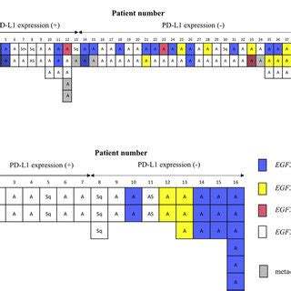 The Epidermal Growth Factor Receptor EGFR Mutation Status Of Each