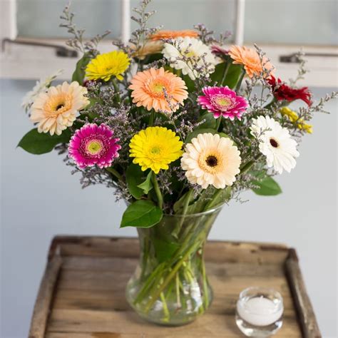 Gerbera Daisy Lovers in Cambridge, MA | Coady Florist