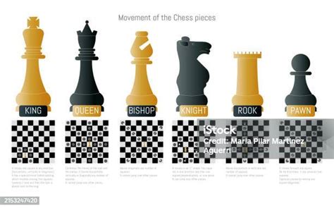 A Chess Board With The Pieces Labeled King Queen Bishop Knight Rook And Pawn Stock Illustration ...