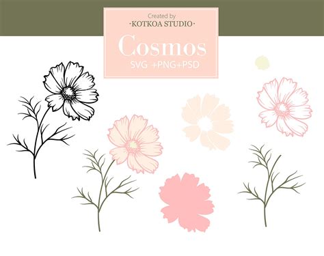 Cosmos Spring Flower Svg Flower Outline Svg Files For Cricut