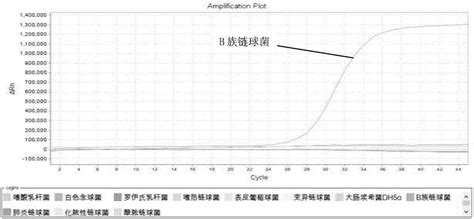 一种b族链球菌荧光定量pcr检测试剂盒的制作方法