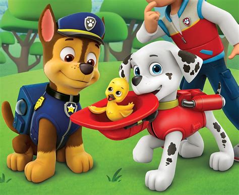 Marshall Gallery Paw Patrol Wiki Fandom